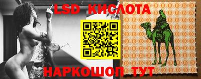 крисы Ирбит