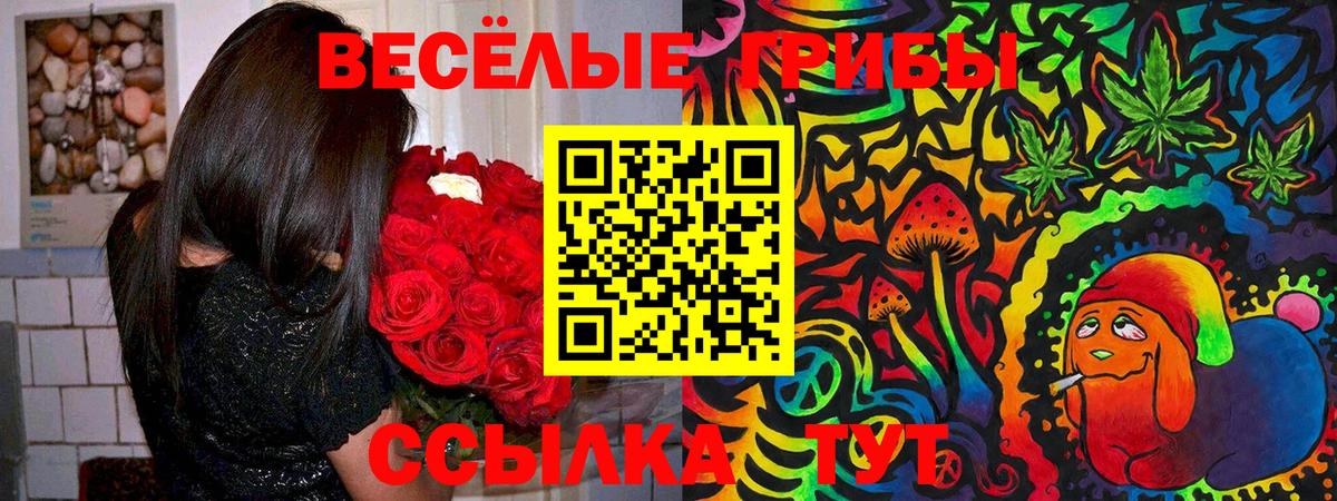 Псилоцибиновые грибы Psilocybine cubensis Мценск